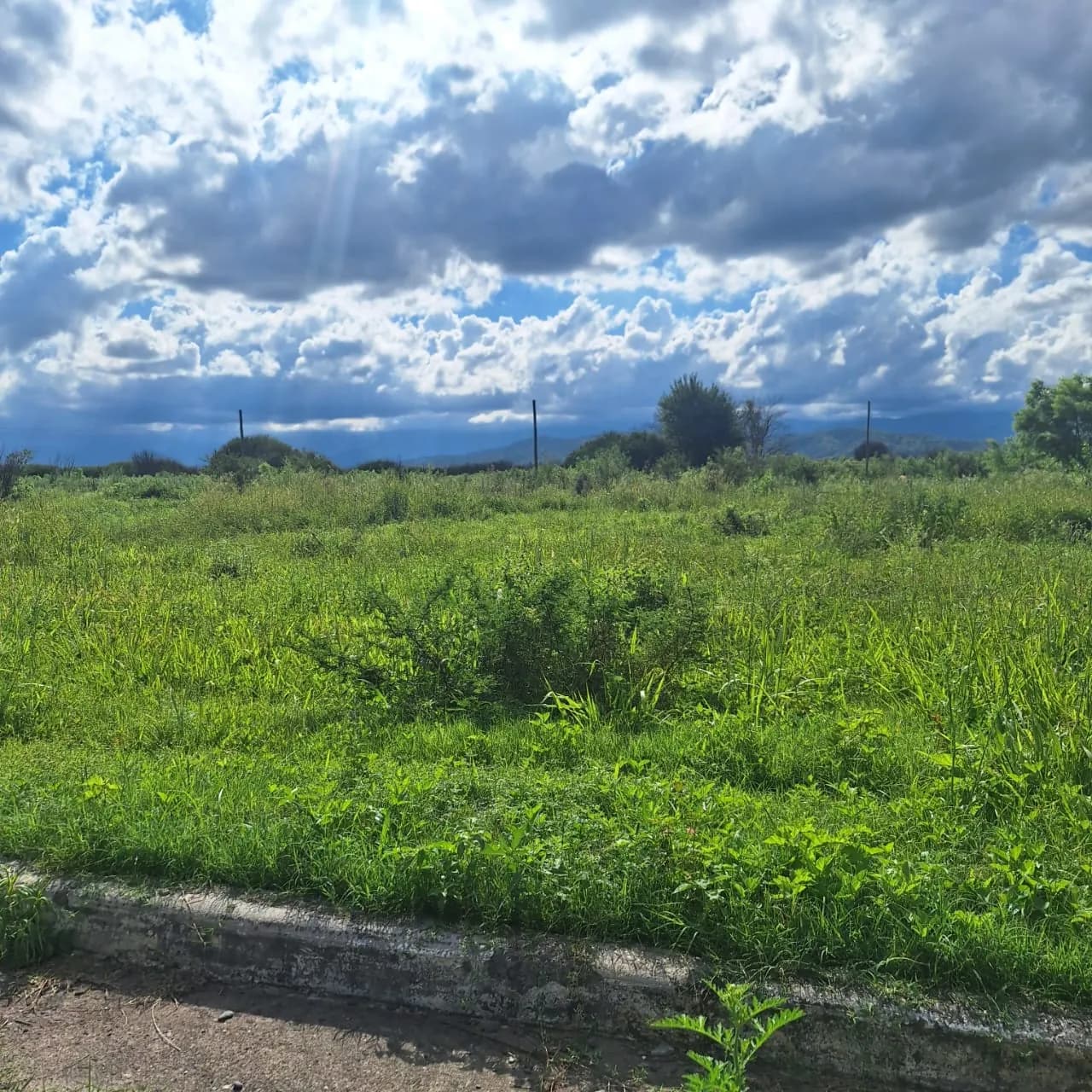 Lote con vista a los cerros